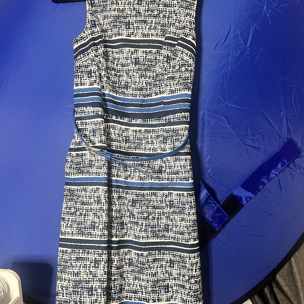The Limited Blue and White Textured Dress